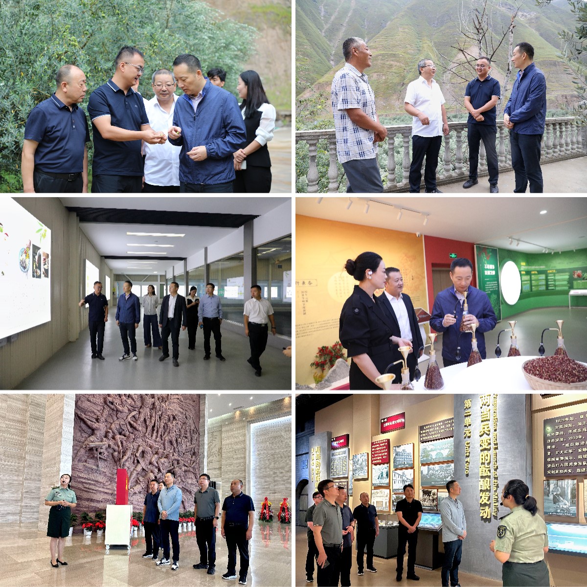 6008集团官方网站(中国)股份有限公司